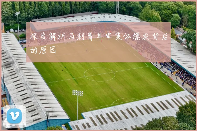 深度解析马刺青年军集体爆发背后的原因
