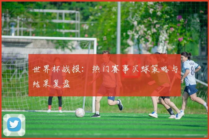 世界杯战报：热门赛事买球策略与结果复盘